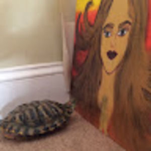 Meet your Posher, Nimmi